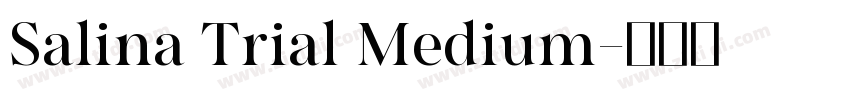 Salina Trial Medium字体转换